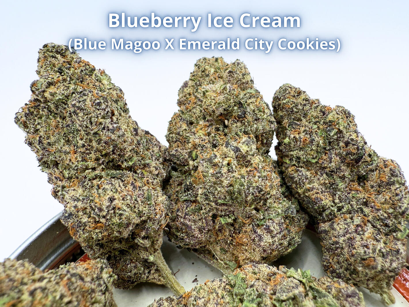 Blueberry Ice Cream THCa Flower Premium Blueberry Ice Cream THCa hemp flower