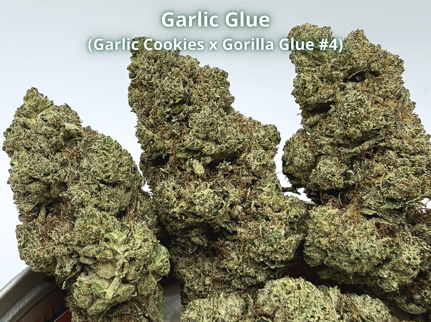 Garlic Glue