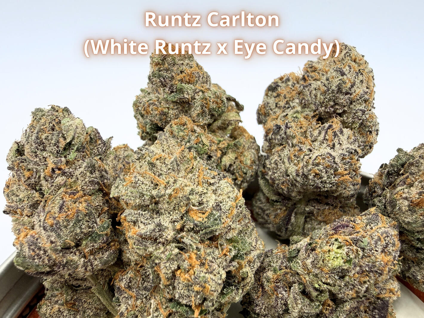 Premium Runtz Carlton THCa hemp flower